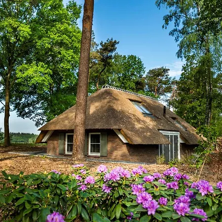 Ferienhaus Country Estate Sprielderbosch 20 Huize Klaterbos *